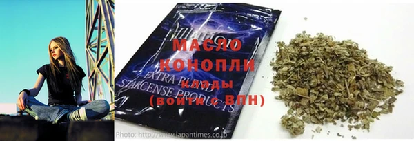 индика Абинск