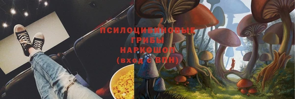 индика Абинск