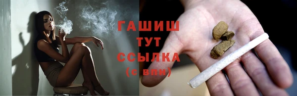 индика Абинск