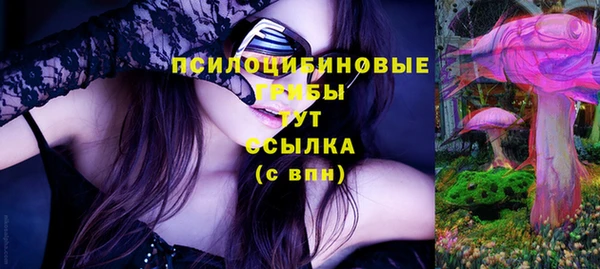 МДПВ Абдулино