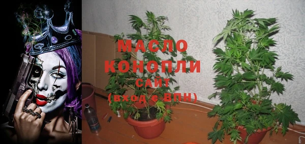 индика Абинск