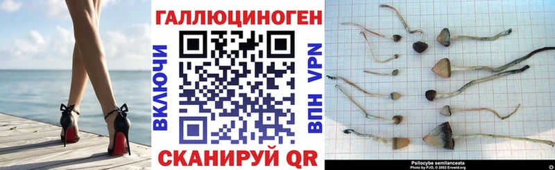 МЕГА ссылка  Южноуральск  Галлюциногенные грибы мицелий 