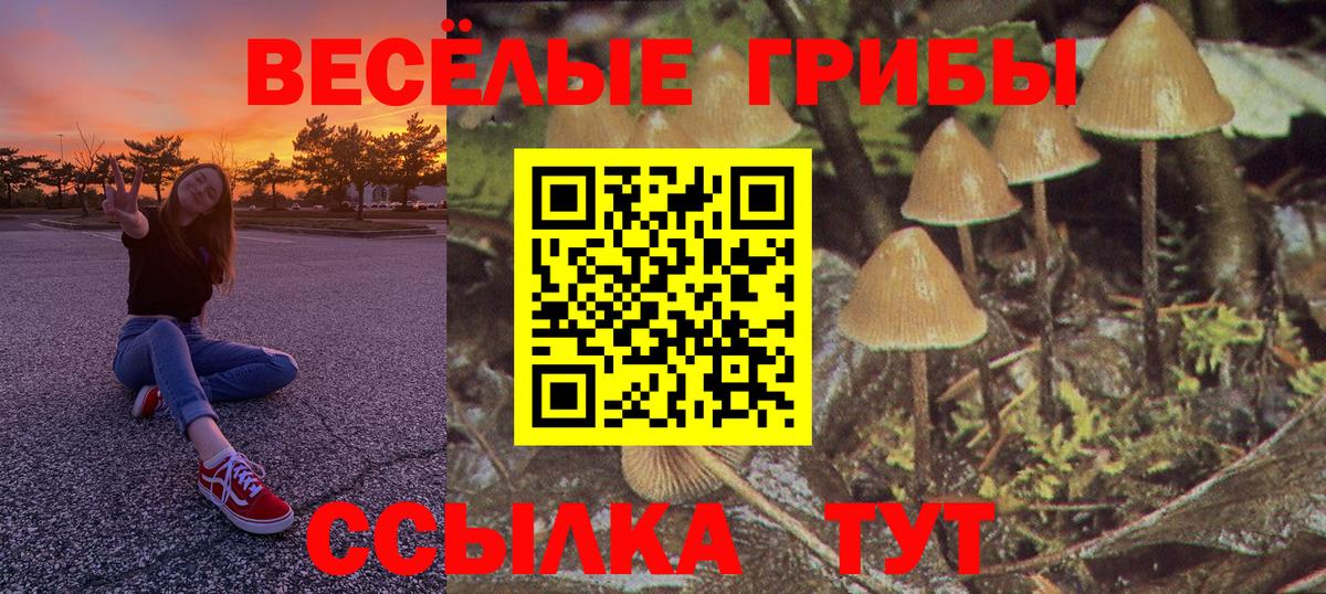 Псилоцибиновые грибы Cubensis Южноуральск